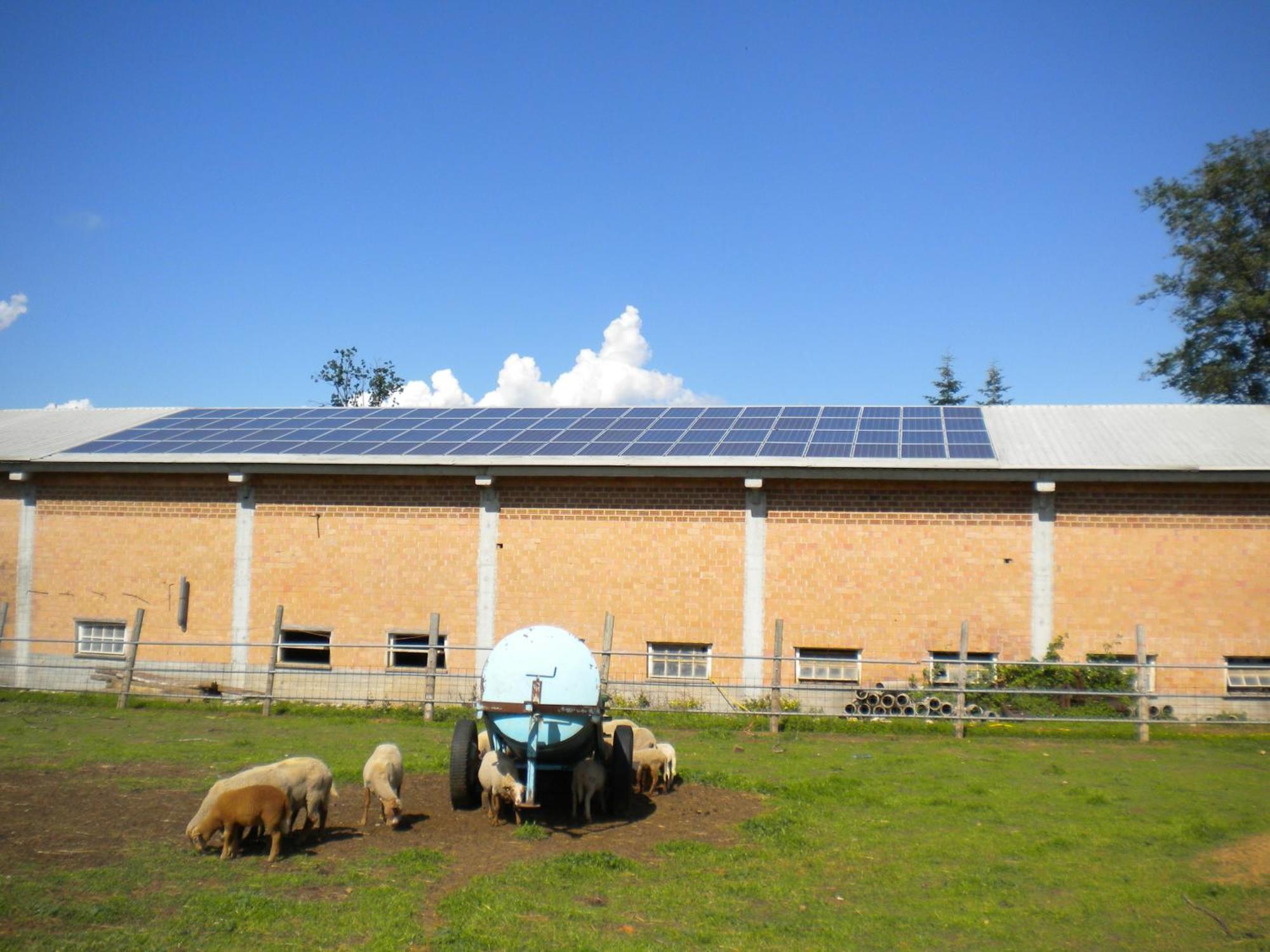 Agriturismo La Dimora Del Contadino 몬도비 외부 사진