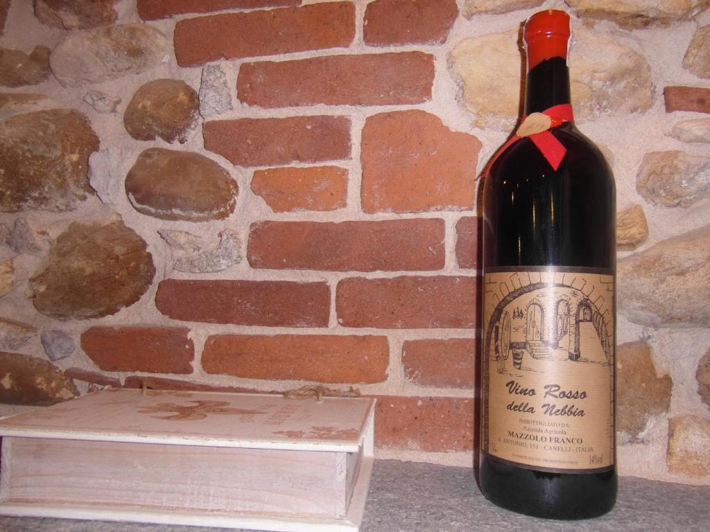 Agriturismo La Dimora Del Contadino 몬도비 외부 사진