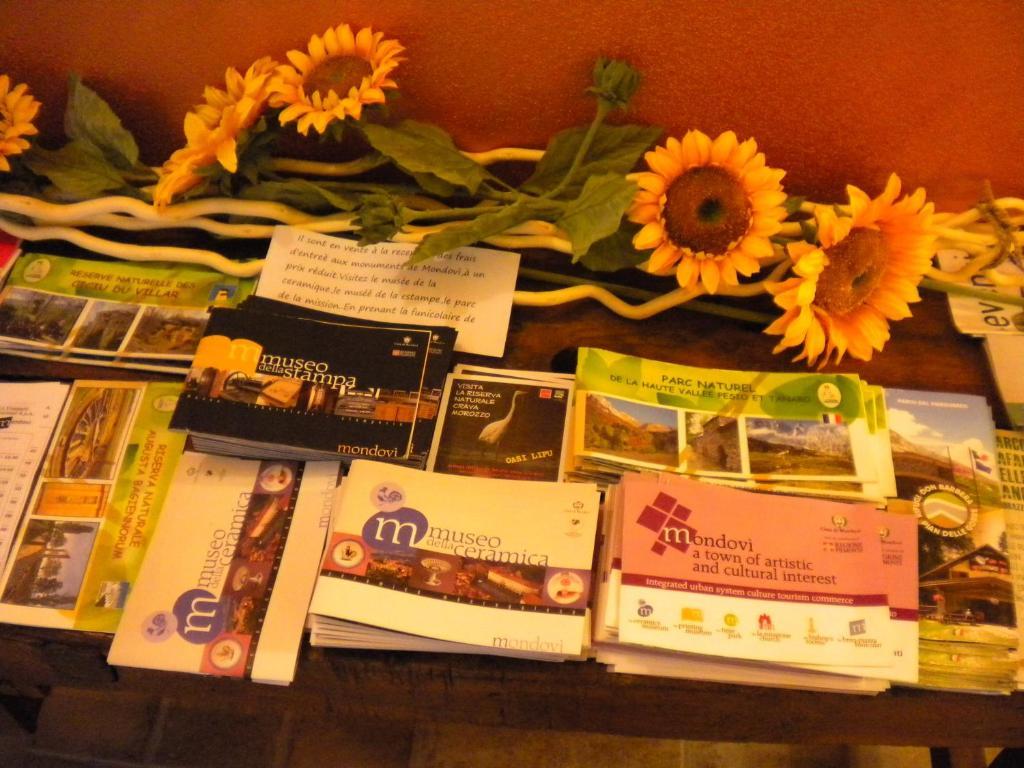 Agriturismo La Dimora Del Contadino 몬도비 외부 사진