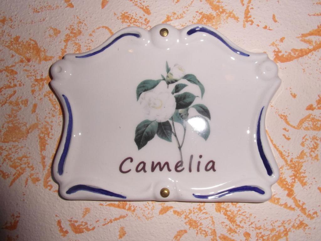 Agriturismo La Dimora Del Contadino 몬도비 객실 사진